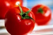 کدام قسمت گوجه فرنگی سمی است؟