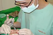 فاجعه‌ صورت‌های عروسکی شهرها را تهدید می‌کند