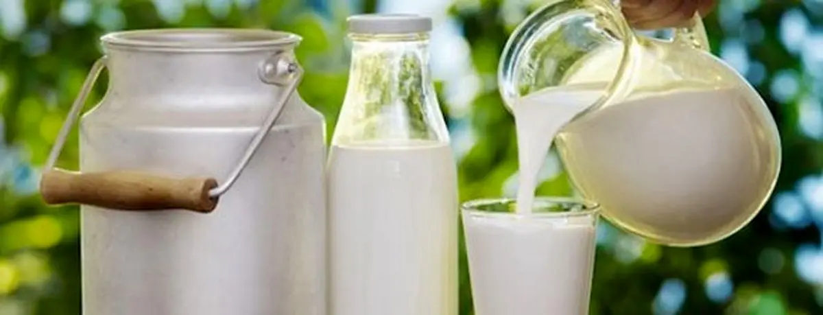سفر نوروزی با طعم لبنیات فله ای و عسل تقلبی