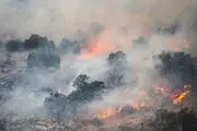 خبر آزادی مسببین آتش سوزی خائیز تکذیب شد