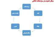 خشونت‌ و سوء استفاده‌های خانگی چیست؟
