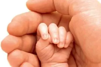 آخرین آمار  ثبت احوال از نرخ موالید و زاد و ولد 