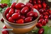 کنترل فشار خون با این میوه ها