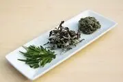 گیاهی که سلول های سرطانی را تنها در 16 ساعت از بین می برد