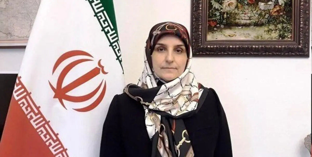 ماجرای حمله با چاقو به خانم سفیر ایران در دانمارک