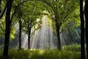 ذکری برای صبح و شام