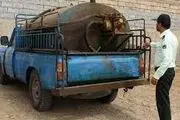 ببینید| تعقیب و گریز پلیس با قاچاقچیان سوخت سبزوار