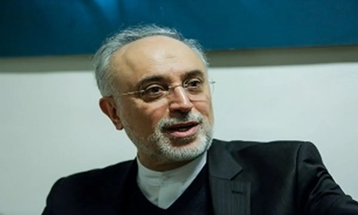 صالحی با جانسون دیدار کرد