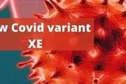 جزئیات تازه از سویه «اُمیکرون Xe»