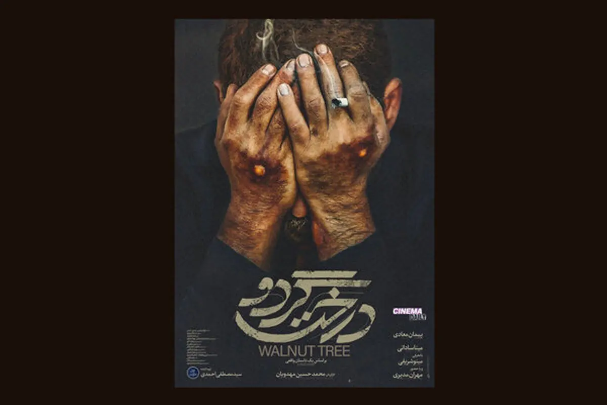 نیم نگاهی به «درخت گردو» مهدویان