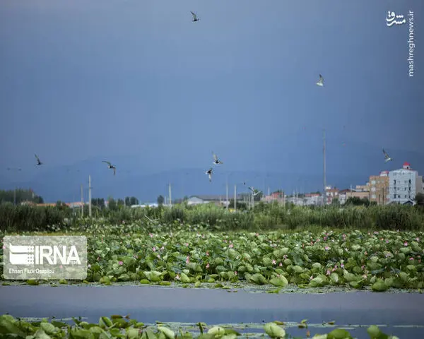 9nFLKdrFiYrU