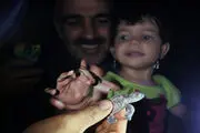 
جشن تولد پوزه عقابی های قشم
