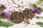 خار مریم، راه حل طبیعی مشکلات سلامت از کلسترول تا عارضه‌های کبدی
