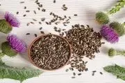 خار مریم، راه حل طبیعی مشکلات سلامت از کلسترول تا عارضه‌های کبدی