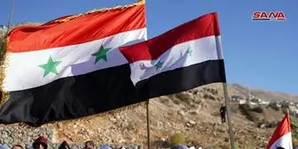 انتقاد هیئت دولت سوریه از مداخله سایر کشورها در کار «کمیته قانون اساسی»