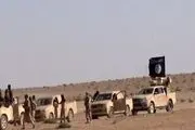 3000 داعشی از سوریه به عراق منتقل شدند

