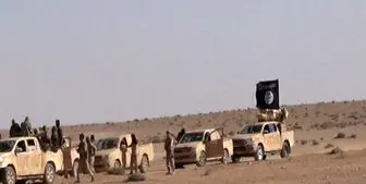 3000 داعشی از سوریه به عراق منتقل شدند


