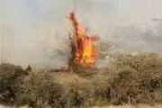 آتش‌سوزی وسیع در پارک ملی گلستان