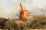 آتش‌سوزی وسیع در پارک ملی گلستان