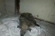 حمله کفتار به یک عروسی در سوسنگرد+عکس