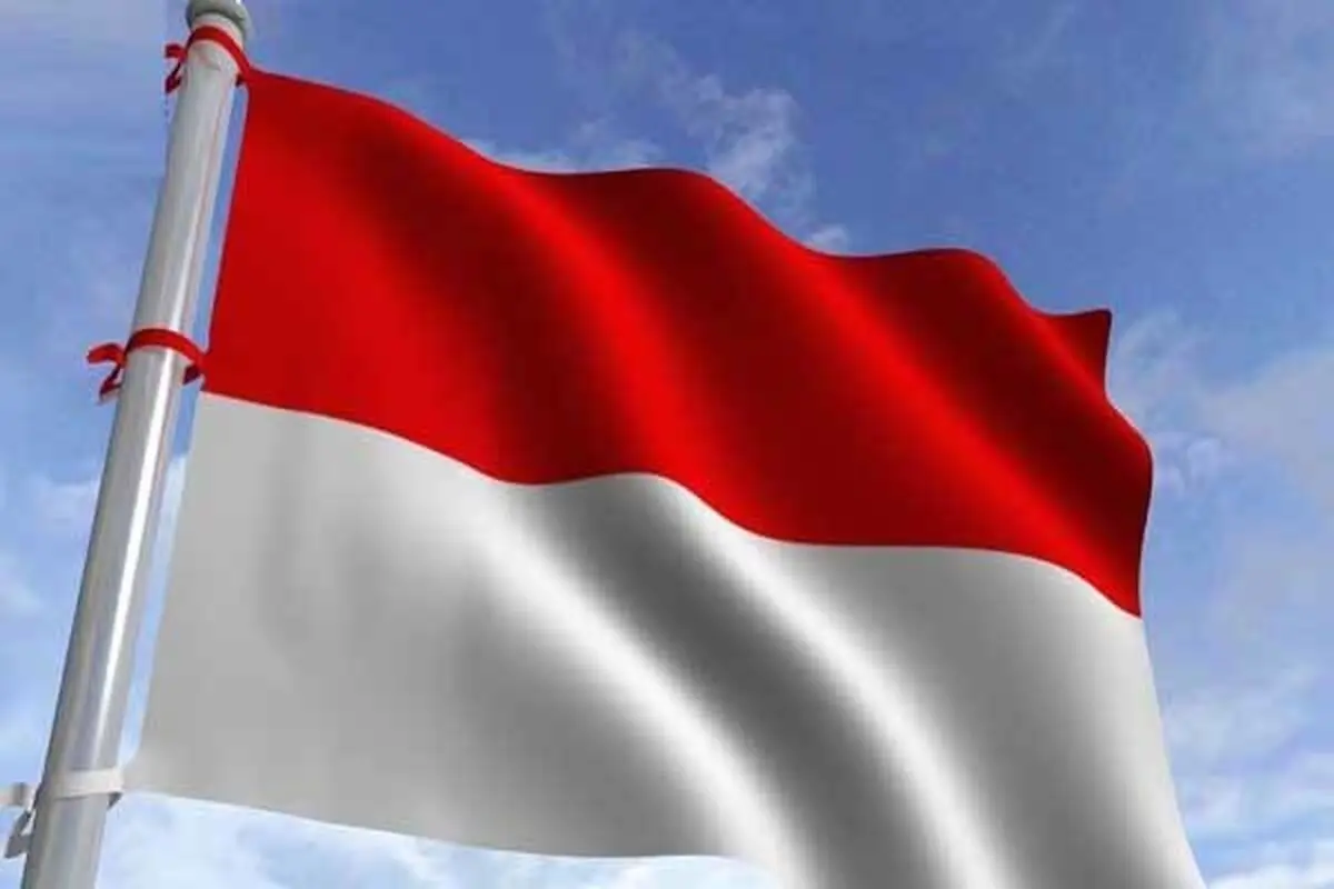 سقوط یک فروند میگ ۲۹ در لهستان