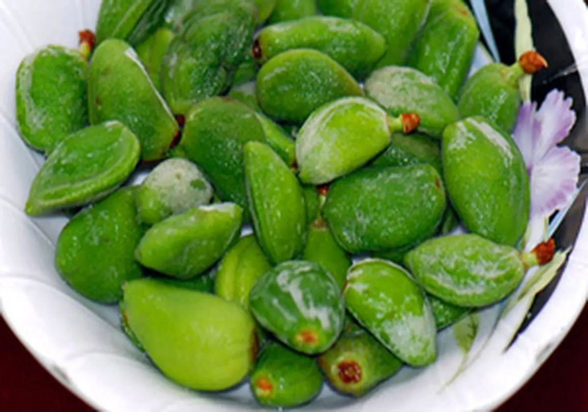 فواید شگفت انگیز میوه چغاله بادام