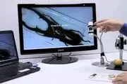 دنیای متفاوت زیر میکروسکوپ/عکس