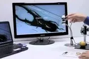 دنیای متفاوت زیر میکروسکوپ/عکس