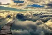 حیوانات مسخ‌ شده کدامند؟