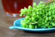 خواص بی نظیر غوره در توصیه های پزشکی امام رضا(ع)