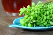 خواص بی نظیر غوره در توصیه های پزشکی امام رضا(ع)