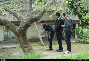 1461072717729_peiman yazdani-5