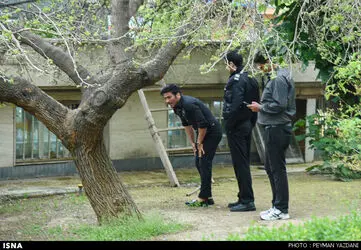 1461072717729_peiman yazdani-5