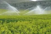 ارزش ضدآفتی خفاش ها در صنعت کشاورزی