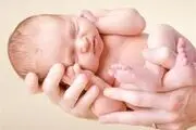 تکنیک جدید تعیین جنسیت نوزاد 