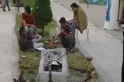 پارک ساحلی یا پارک قلیان های میوه ای+تصاویر