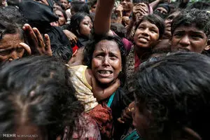 هشدار برنامه جهانی غذا درباره سوء تغذیه مسلمانان میانمار