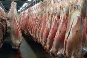 روزانه ۱۲۰ تن گوشت گرم وارد استان تهران می‌شود