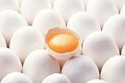 زرده تخم مرغ را از این افراد دور کنید