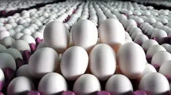 تخم مرغ را چند بخریم؟
