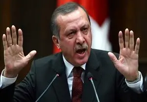 اردوغان: به تمامیت ارضی سوریه احترام می گذاریم!
