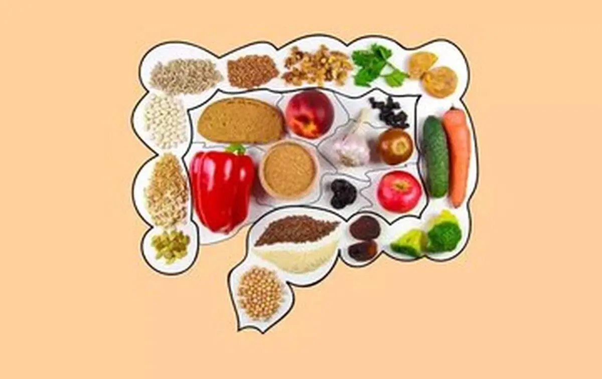 خطر رژیم غذایی پرچرب برای سیستم ایمنی روده
