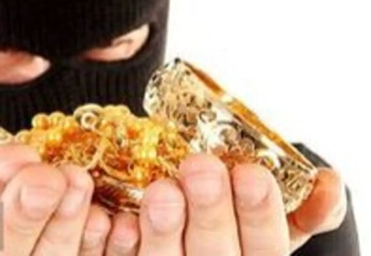 تشدید مجازات سرقتهای زیر ۲۰ میلیون تومان
