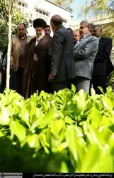 کاشت نهال رهبر