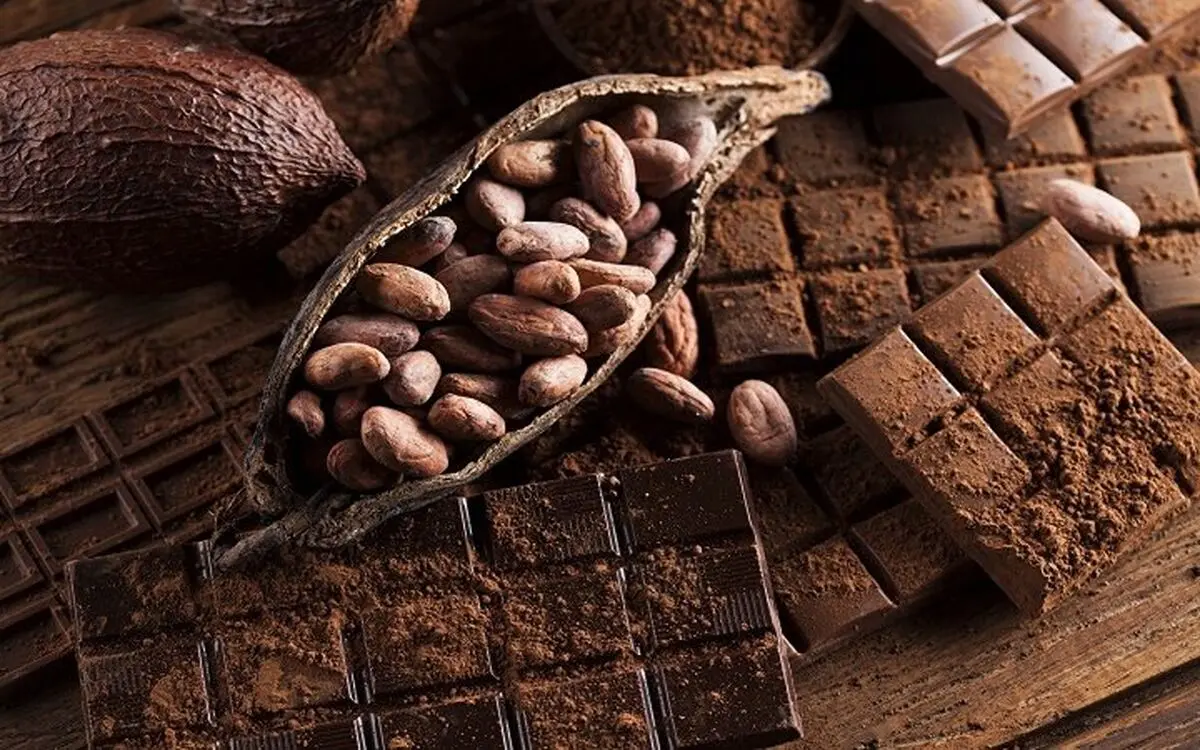 خواص فلاونول‌های کاکائو برای سلامتی