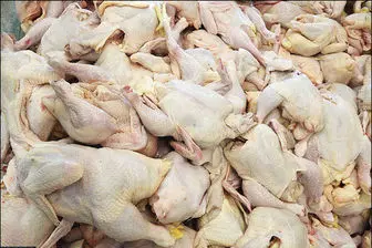 با ذخیره ۱۵۰ هزار تن چرا مرغ هر روز گران تر می شود؟