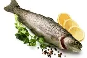 جدول قیمت انواع ماهی منجمد در بازار
