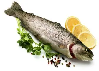 هرگز این مواد را همراه ماهی نخورید