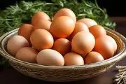 قیمت تخم مرغ در بازار امروز ۶ تیر ۱۴۰۳+ جدول 
