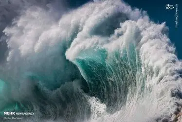 DZZwYorjaFvj